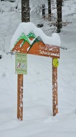 Nationalpark Schwarzwald