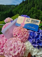 Geschenkgutschein